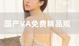国产va在线视频,探索视觉艺术的新天地