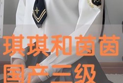 国产三级不卡在线电影,激情四溢的视听盛宴