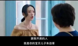 国产开房,揭秘中国住宿业的创新与变革