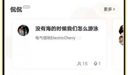 国产开房,揭秘中国住宿业的创新与变革