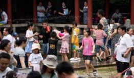 国产乱色在线观看,揭秘网络色情内容的灰色地带