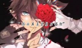 凹凸国产小视频,凹凸小视频展现青春热血与成长历程