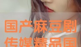 国产色情在线播放,揭秘网络色情产业的灰色地带