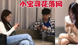 国产秦先生,探寻中国汽车工业的崛起之路