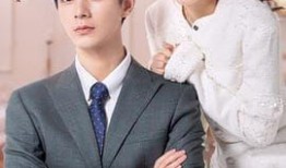 国产夫妻免费,浪漫温馨，共度美好时光