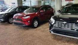 国产5页,探索中国电影产业的崛起与未来