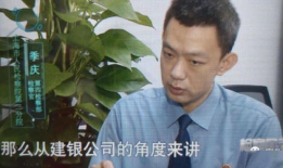 国产秦先生,探寻中国汽车工业的崛起之路